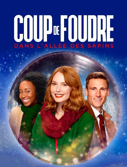 Coup de foudre dans l'allée des sapins - Affiche