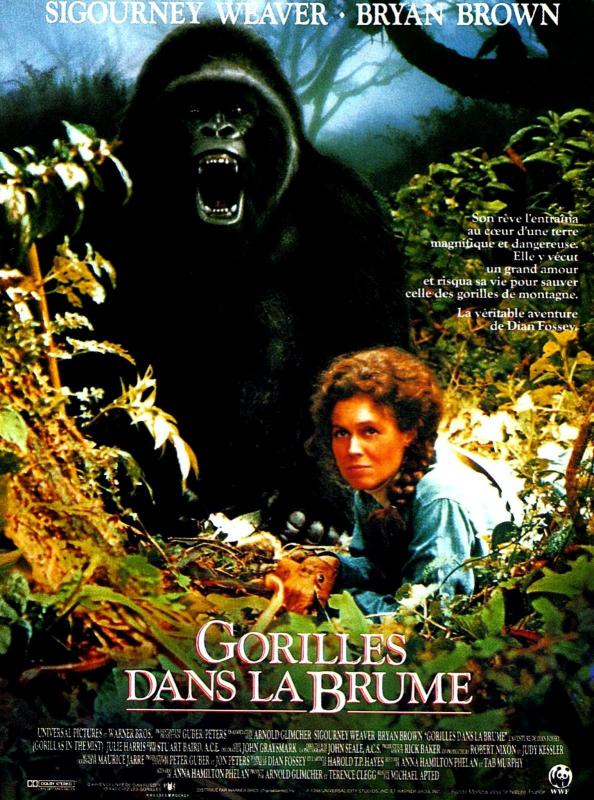 Gorilles dans la brume - Affiche