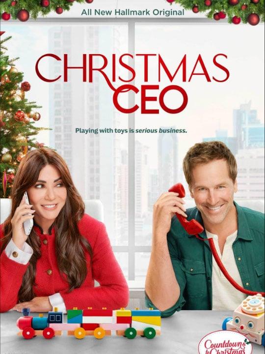 La P.-D.G de Noël - Affiche