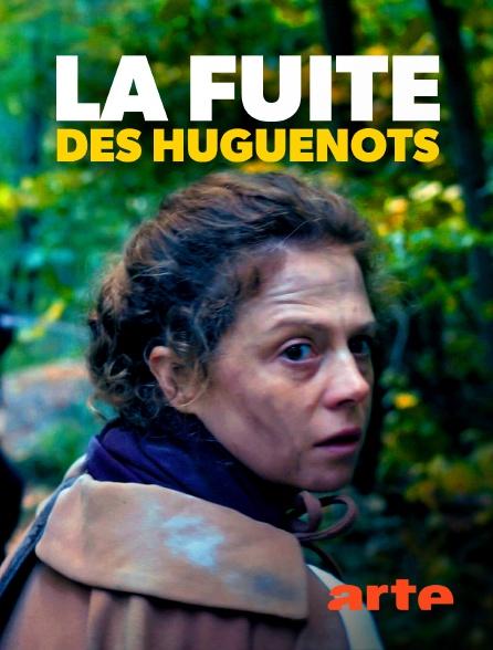 La fuite des huguenots - Affiche