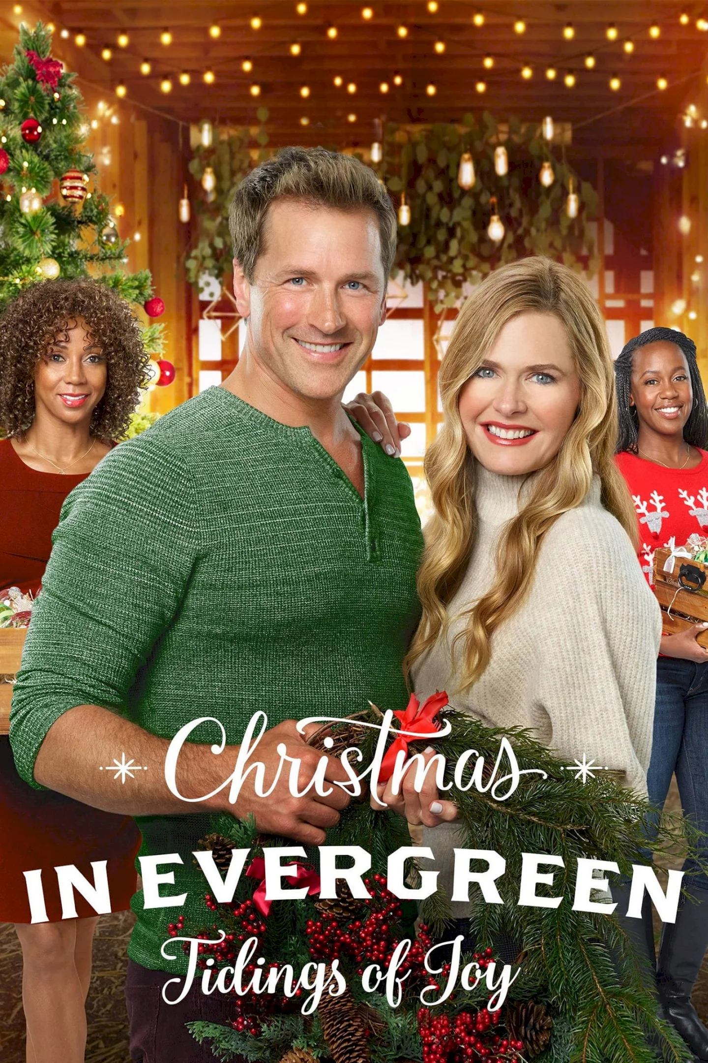 Le calendrier secret de Noël - Affiche