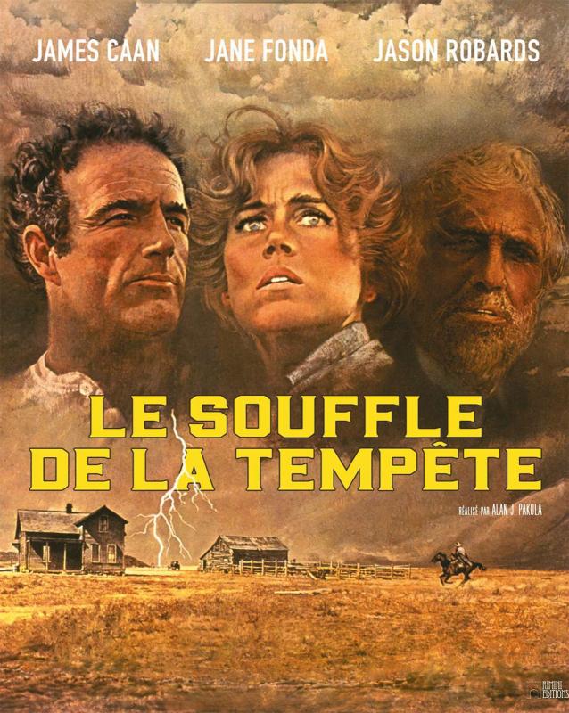 Le souffle de la tempête - Affiche