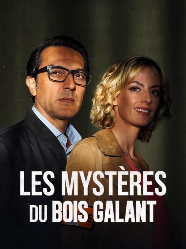 Les mystères du Bois Galant - Affiche