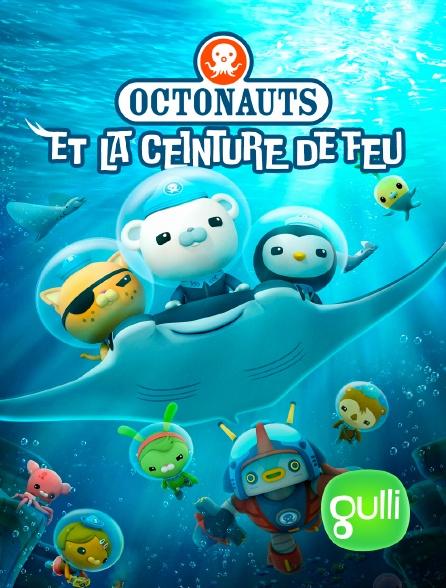 Les Octonauts et la Ceinture de Feu - Affiche
