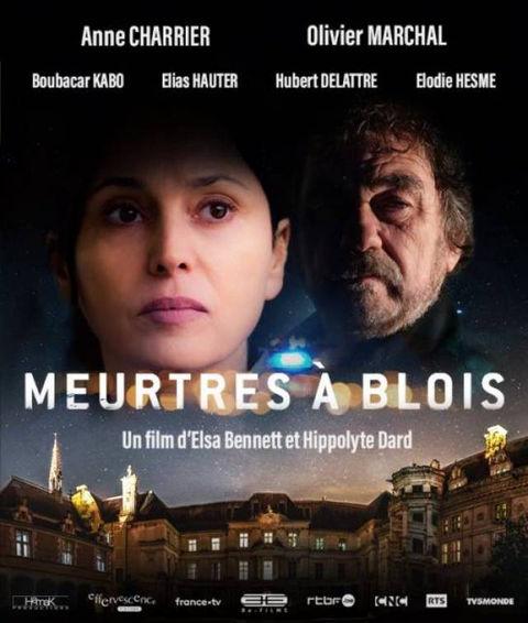 Meurtres à Blois - Affiche