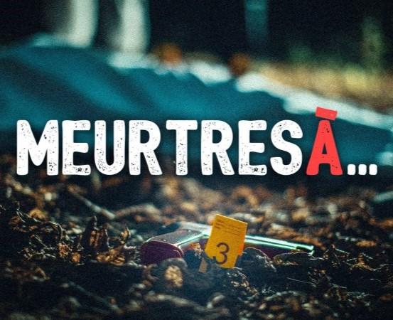 Meurtres à Carcassonne - Affiche