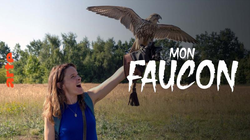 Mon faucon - Affiche