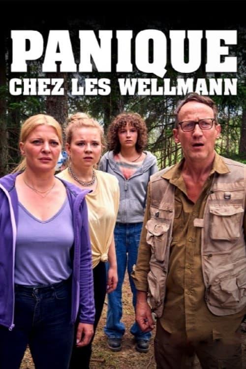 Panique chez les Wellmann - Affiche