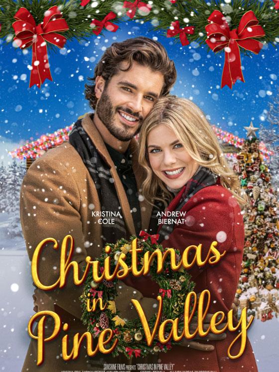 Une famille sur mesure pour Noël - Affiche