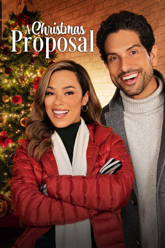 Une proposition de rêve pour Noël - Affiche